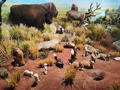 -陕西自然博物馆