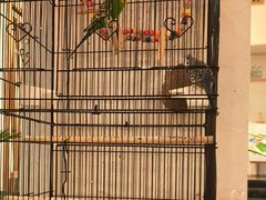 -瓦舍茶馆(聚源路店)