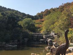 -北京西山国家森林公园