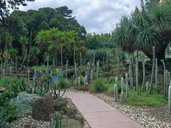 -墨尔本皇家植物园