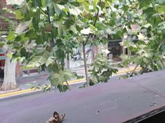 -付小姐在成都(中山公园店)