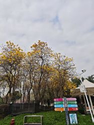 -番禺儿童公园