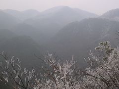 -四明山国家森林公园