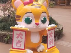 -广州长隆野生动物世界