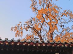 -竹子庵公园