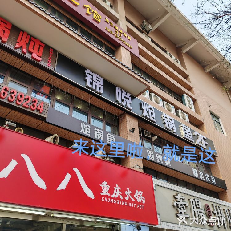 鱼火锅+火锅鱼=鱼好吃