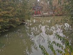 -南汇桃花村