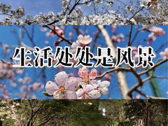 -长春市南湖公园