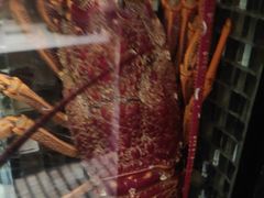 -官也街澳门火锅(新源里店)