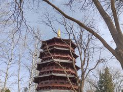 -北京世界公园