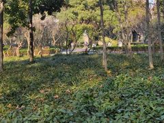 -徐家汇源景区-衡山公园