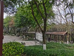 -重庆彩云湖湿地公园