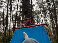 -帽儿山国家森林公园