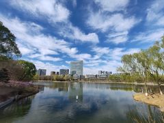 -大兴滨河森林公园