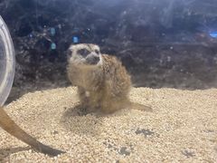 -太平洋海底世界