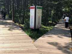 -帽儿山国家森林公园