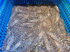 -三个渔夫·蒸汽海鲜(小白楼店)