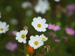 -钟山体育运动公园