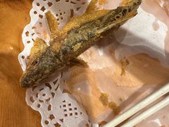 -丹江渔村(望京店)