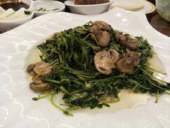 -上海青松城大酒店·紫罗兰厅