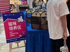 -武汉光谷K11