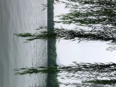 -苏堤停车场