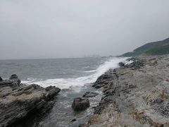 -盐洲岛