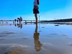 -南汇嘴观海公园