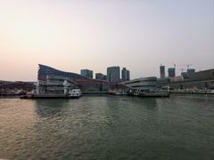 -招商蛇口邮轮母港(观光客运)
