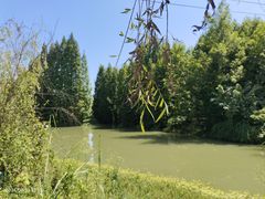-桤木河湿地公园