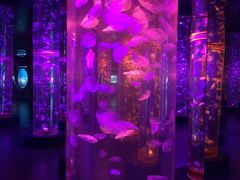-梦幻海洋王国(吾悦广场张家港店)