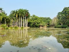 -中国科学院西双版纳热带植物园