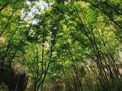 -野三坡百里峡景区