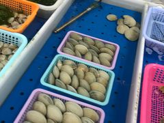 -南沙十九涌渔人码头-南门