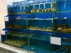 -海岛渔村大酒店(云霄路店)