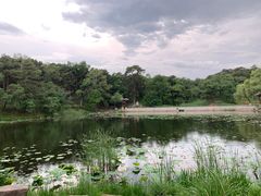 -承德避暑山庄景区