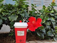 -库迪咖啡(深圳华联大厦店)