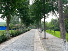 -东升八家郊野公园