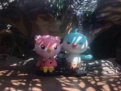 -杭州开元森泊度假乐园