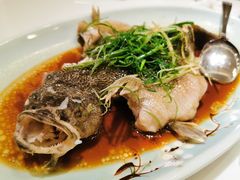 咸香海鲈鱼-清晖小苑•顺德地方菜(壹海城店)