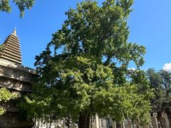 -北京石刻艺术博物馆(五塔寺)