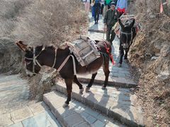 -鸡鸣山旅游景区