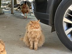 -嬉子湖生态旅游区