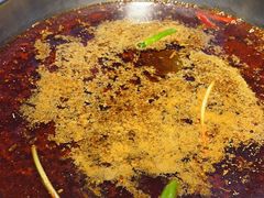 -蜀滋香鲜鱼美蛙火锅(339店)