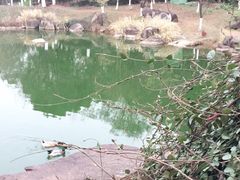 -白马涧龙池景区