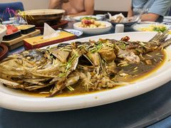-张氏鱼庄