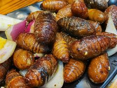烤蚕蛹-丹东特色烤肉(学府路一部店)
