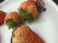 -比尔森巴西烤肉自助(红旗街店)