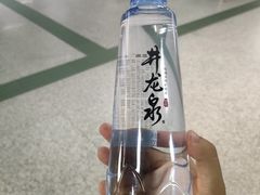 -飞翔公园(地铁站)