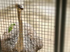 -金庭庄园酒店-停车场